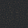 ONYX TRAILS